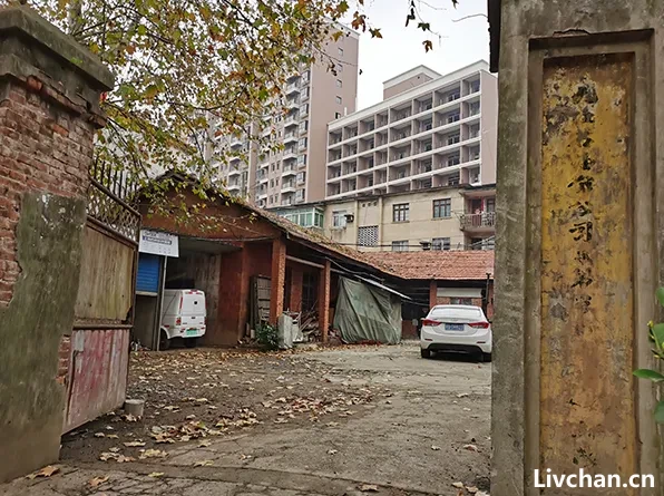 雌雄大盗:劳荣枝的亡命之旅 雌雄大盗:劳荣枝的亡命之旅