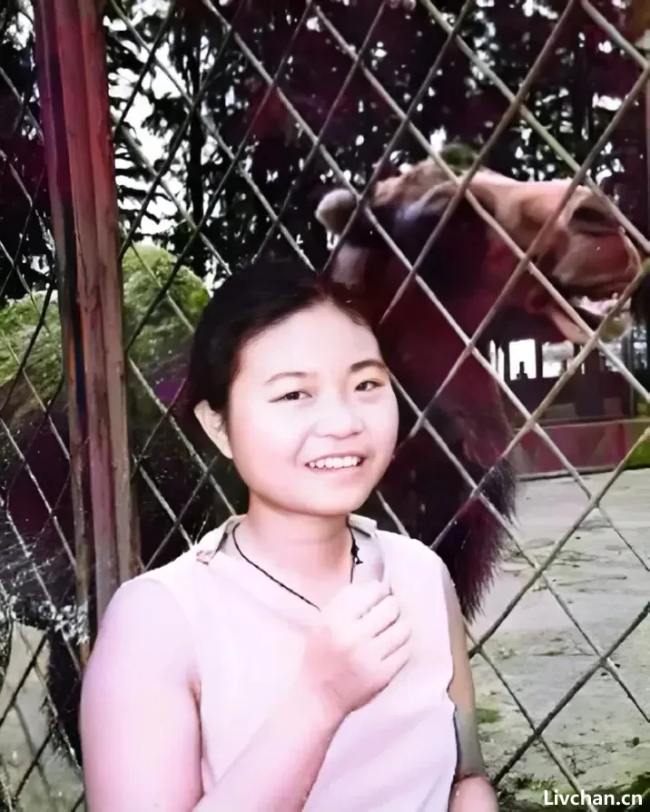 带母读研的杨元元寒凉的一生 带母读研的杨元元寒凉的一生
