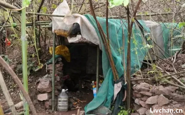 冷血“90后”姚常凤:只敢住在山洞,逃亡靠自行车 冷血“90后”姚常凤:只敢住在山洞,逃亡靠自行车