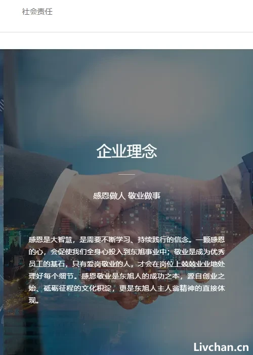 千亿帝国的造假幻梦：李兆廷与东旭集团的兴衰路