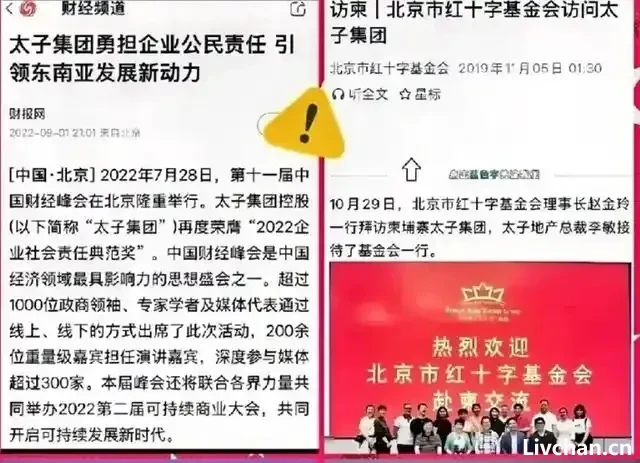 各国都在清算太子集团陈志资产,为何我们没有行动 各国都在清算太子集团陈志资产,为何我们没有行动